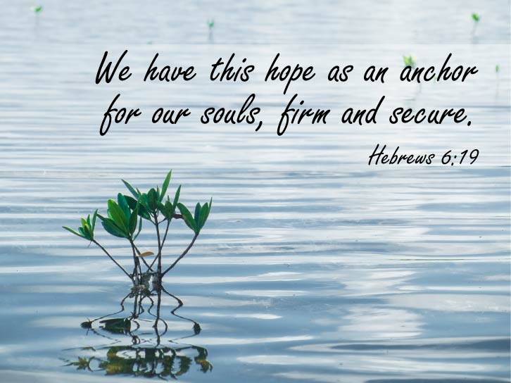 We have this hope as an anchor for our souls, firm and secure. Hebrews 6:19